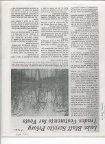 Reluctant Crusader in Armor Again